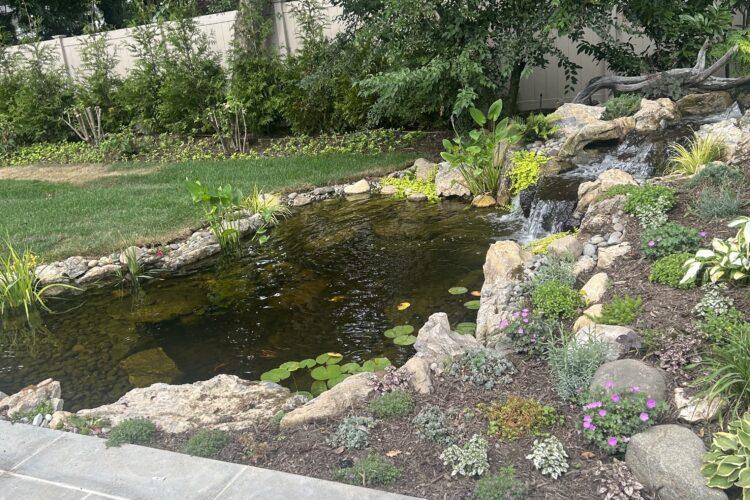 a small backyard pond with a waterfall and flowering plantns
